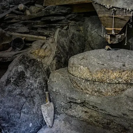 Casa Do Amieiro, Cantinho Do Ceu Ferienhaus Casal do Rei (Seia)