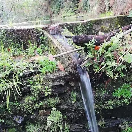 Ferienhaus Casa Do Amieiro, Cantinho Do Ceu *