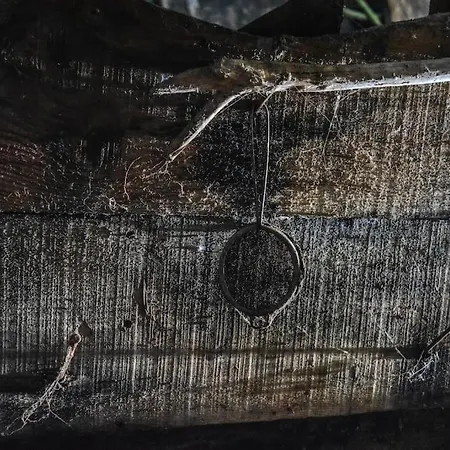 Casa Do Amieiro, Cantinho Do Ceu Ferienhaus *