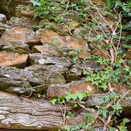 Casa Do Amieiro, Cantinho Do Ceu Дом отдыха Casal do Rei (Seia)