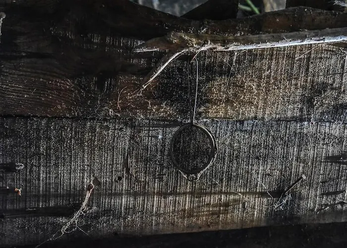 Casa Do Amieiro, Cantinho Do Céu Hébergement de vacances *