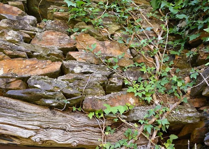 Casa Do Amieiro, Cantinho Do Céu Hébergement de vacances Casal do Rei (Seia)